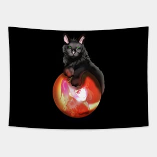 Black fluffy cat on a red glow crystal ball Tapestry