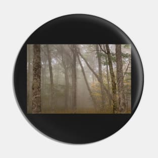 Misty Spruce Knob Forest Pin