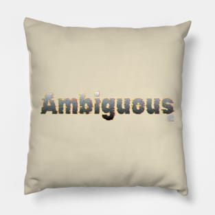 Ambiguous Pillow