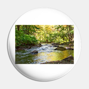 Black River Reflections Pin