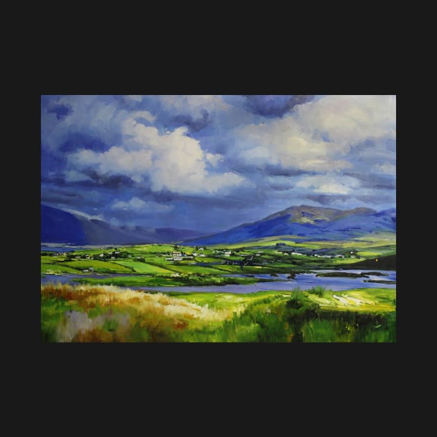 Connemara Fields, Galway by conchubar