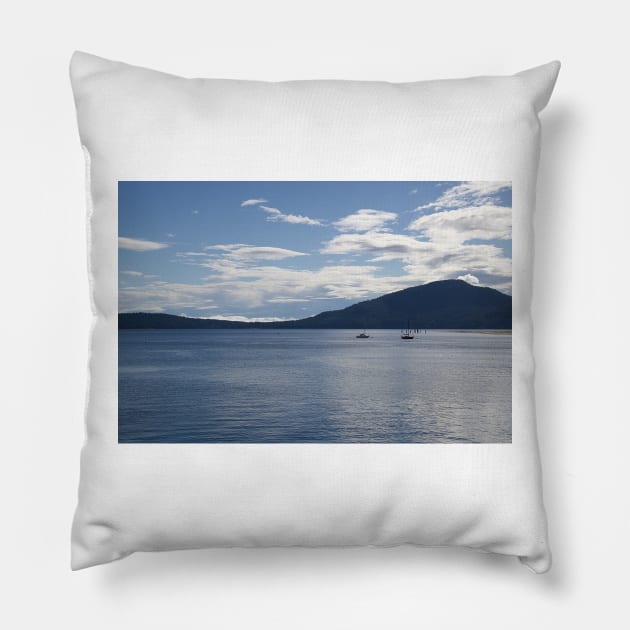 850_2661 Pillow by wgcosby