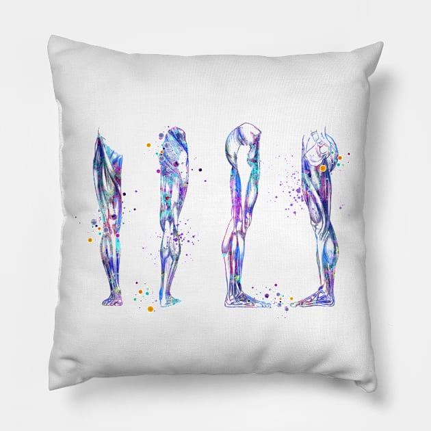 Leg Muscles Colorful Watercolor Anatomy Pillow by LotusGifts