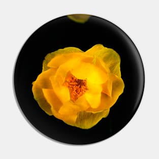 Flower awakened. Pin