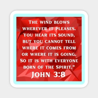 Bible Verse John 3:8 Magnet