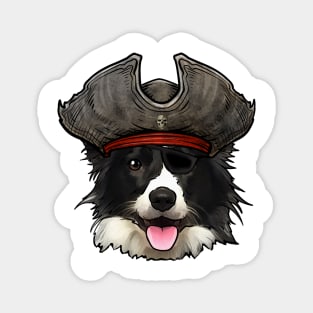 Border Collie Pirate Magnet