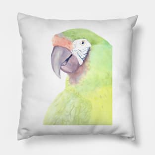 military macaw watercolor portrait parrot painting Pillow