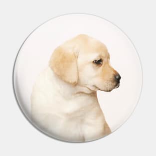 Labby the Labrador Dog Pin