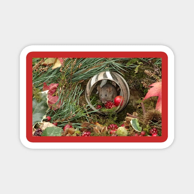 Christmouse - festive wild mouse Magnet by Simon-dell