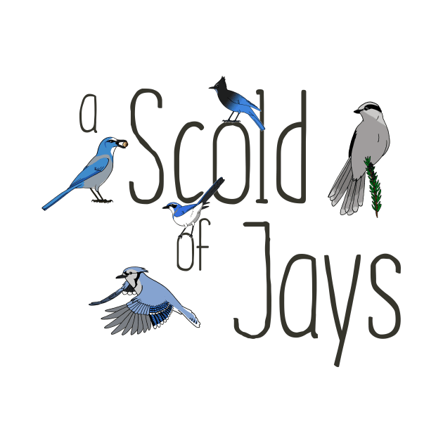 Collective Nouns - Jays by Feathered Focus