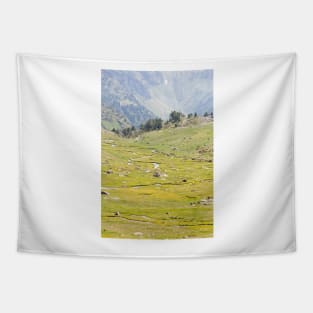 Andorra Tapestry