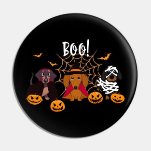 Halloween spirit  Dachshund dog Boo playful pumpkin Pin