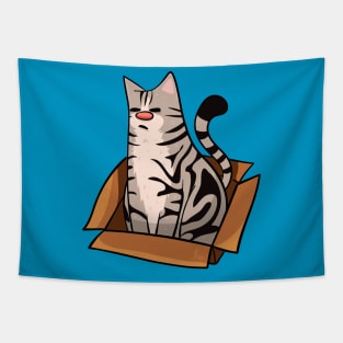 American Shorthair Cat in a Box Tapestry