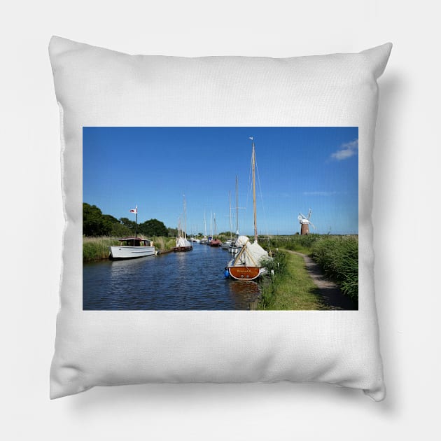 Horsey, Norfolk Pillow by Chris Petty