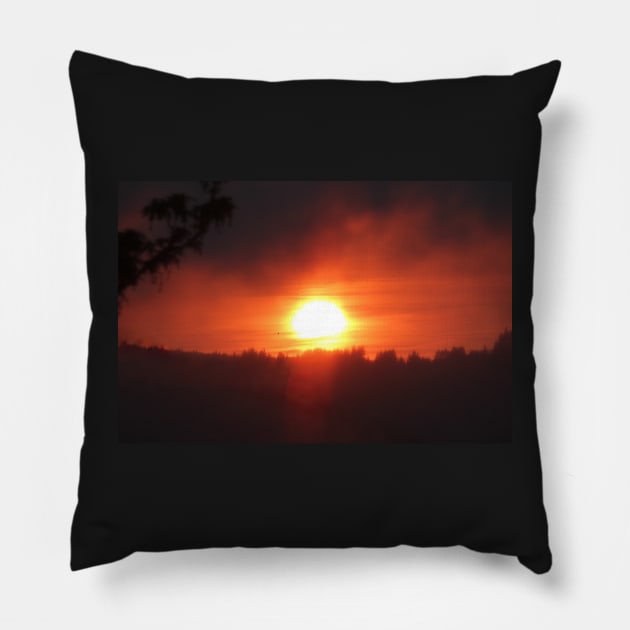 golden columbia river sunrise 3 Pillow by DlmtleArt