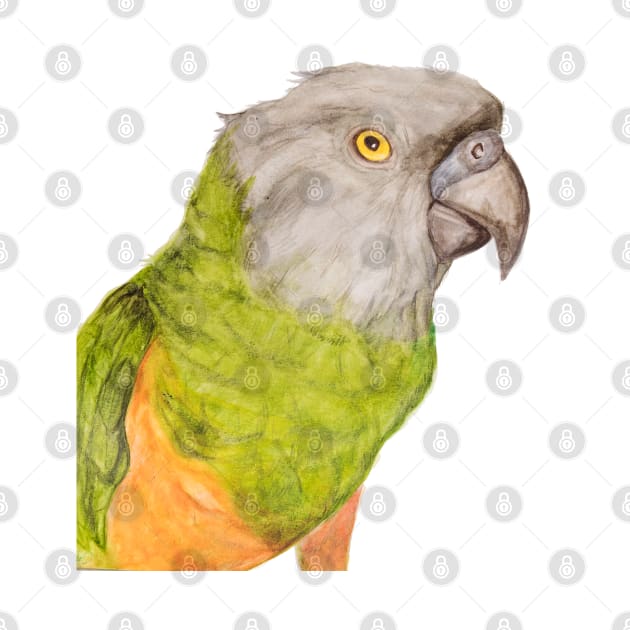 Youyou of Senegal Parrot Parrot Tropical Bird Watercolor Art Print by Oranjade0122