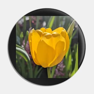 Yellow Tulip 5 Pin