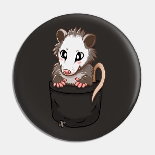 Pocket Cute Opossum Pin