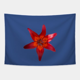 Bold Lilly Tapestry