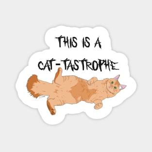 Catastrophe Magnet