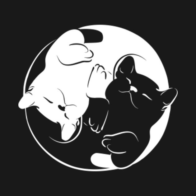 Yin yang Cat