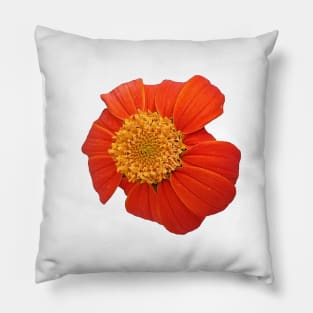 Red Sunflower Yellow and Green Close Up Pillow