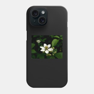 Blossoming white flower, close up photography Phone Case