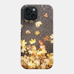 Gold yellow maple leaves autumn fall foliage asphalt road  nature Photograph Phone Case