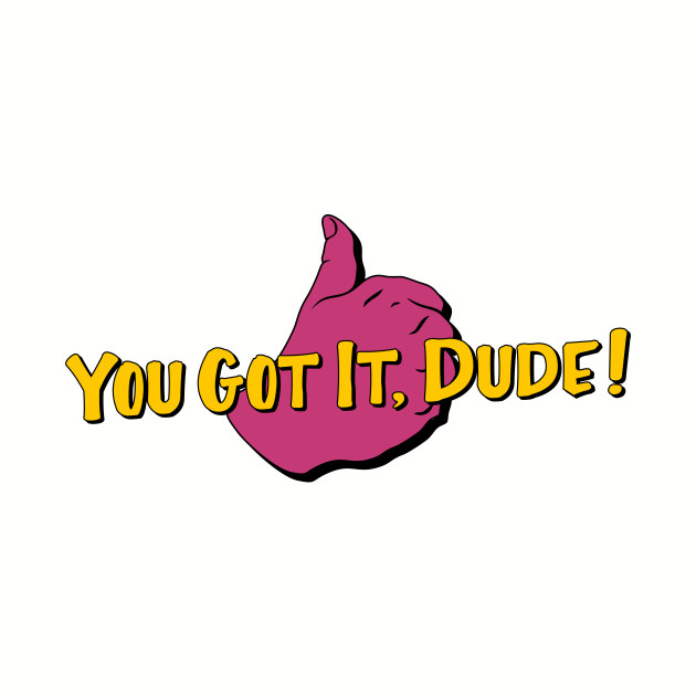 You Got it, Dude! Fuller House Phone Case TeePublic