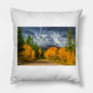 Changing Of The Colors - Colorado's New Coat Pillow