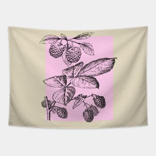 Raspberry Tapestry