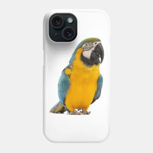 Beautiful Macaw Phone Case