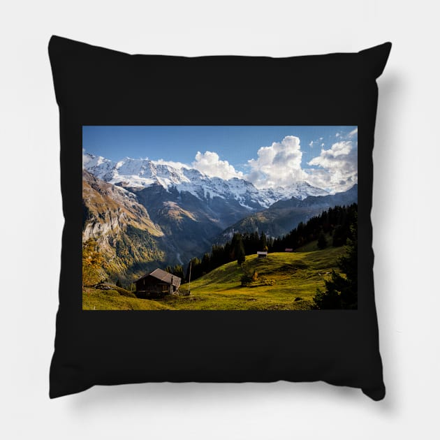 Sunny Switzerland Pillow by krepsher