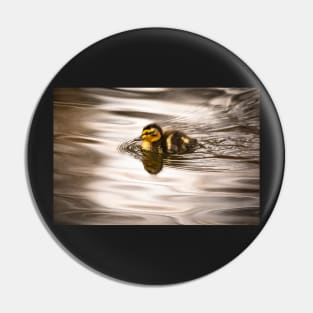 Cute tiny duckling swimming Pin