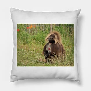 Gelada baboon Pillow