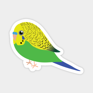 Cute illustration af a budgie Magnet