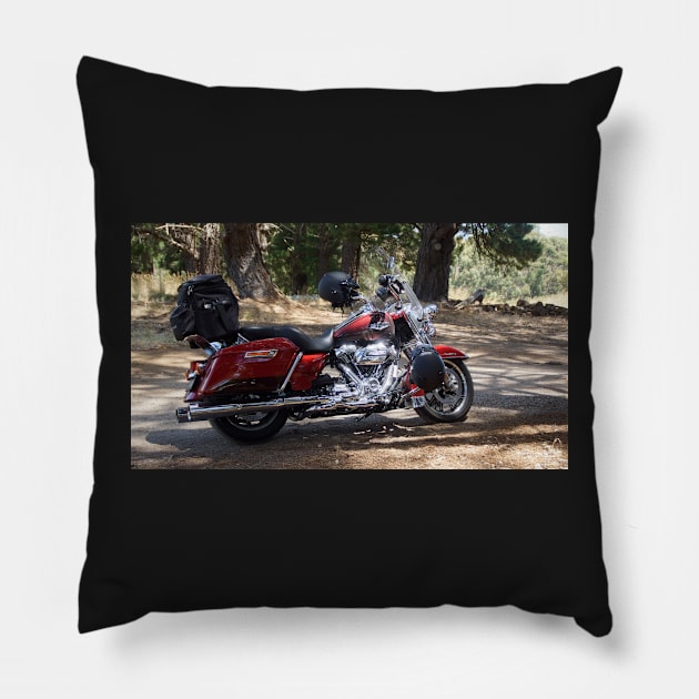 Motor Bike at Magpie Springs by Avril Thomas Pillow by MagpieSprings