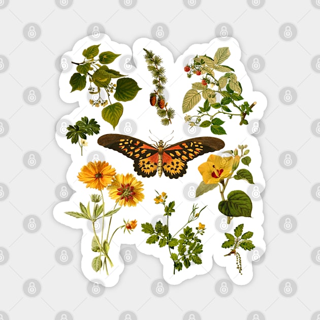 Cottagecore Vintage Plants and Butterfly Magnet by Souls.Print