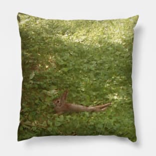 Cool rabbit relaxing on the lawn Pillow