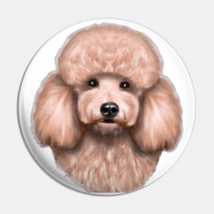 Cute Poodle Drawing Pin