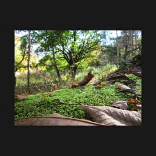 Fallen Tree Covered in Autumn Moss and Leaves T-Shirt