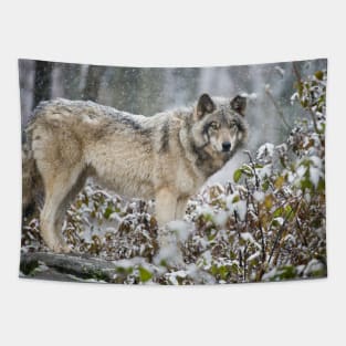 Gray Wolf Tapestry