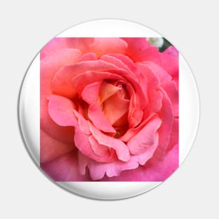 KE Rose Macro Pin