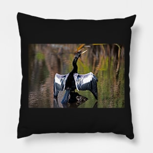 Anhinga Drying it's Wings Pillow