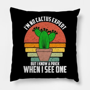 I'm no cactus expert but i know a prick when I see one Pillow