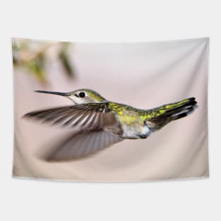 Flying Anna's Hummingbird Tapestry