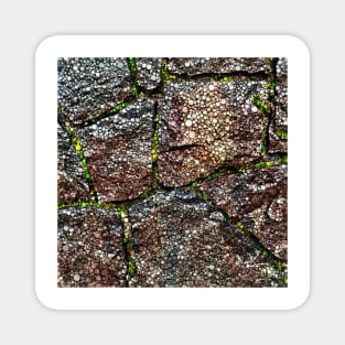 Rock Wall with Moss Abstract Magnet