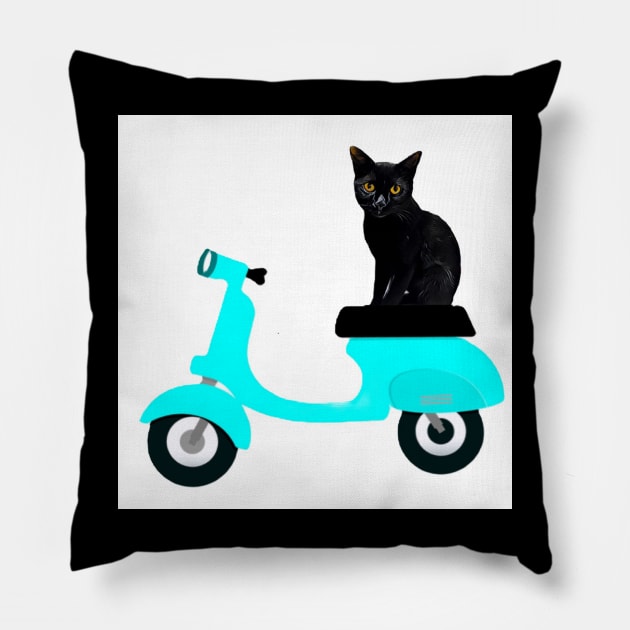 MOTORCYCLE RIDE CAT II Pillow by CATUNIVERSE