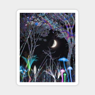 Nuit Magnet