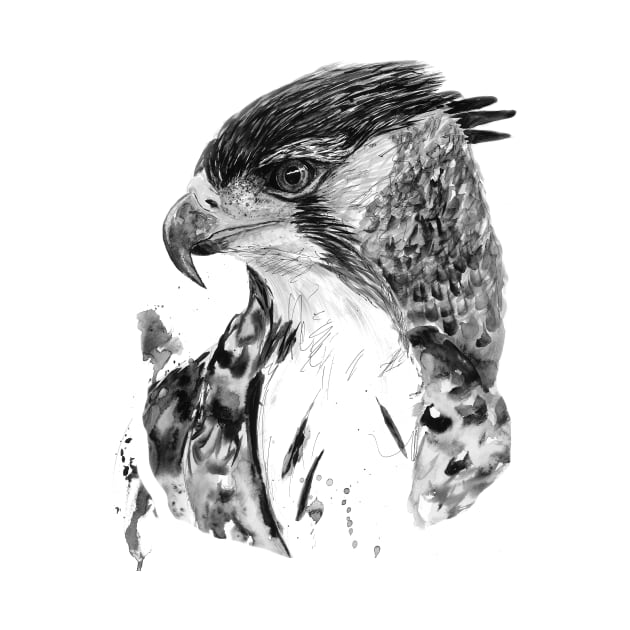 hawk by NemfisArt